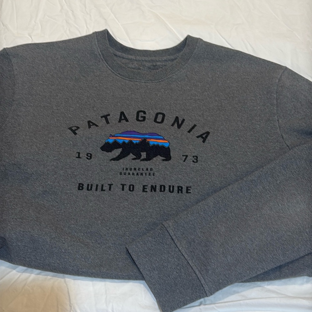 Patagonia sweatshirt